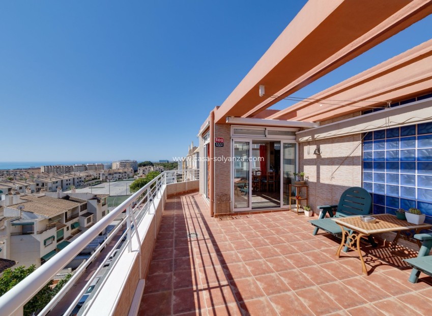 Resale - Apartment / flat - Guardamar del Segura - Costa Blanca