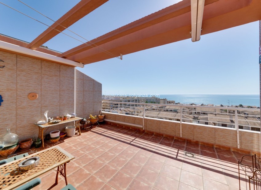 Resale - Apartment / flat - Guardamar del Segura - Costa Blanca