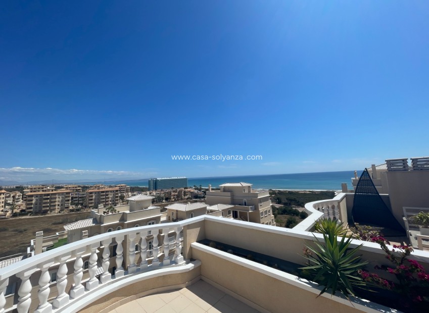 Resale - Apartment / flat - Guardamar del Segura - Costa Blanca
