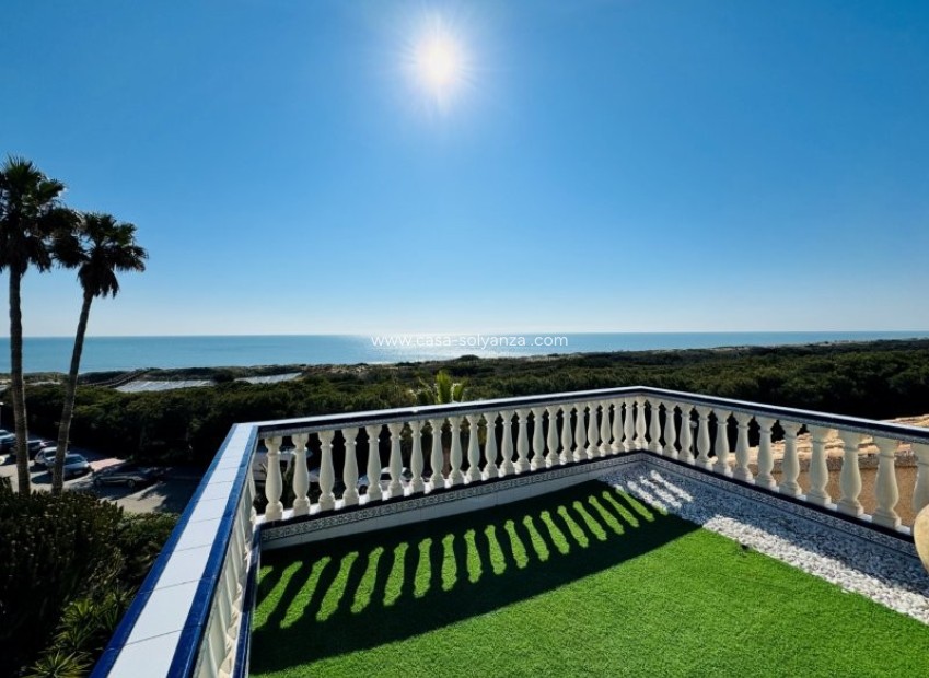 Resale - Apartment / flat - Guardamar del Segura - Costa Blanca