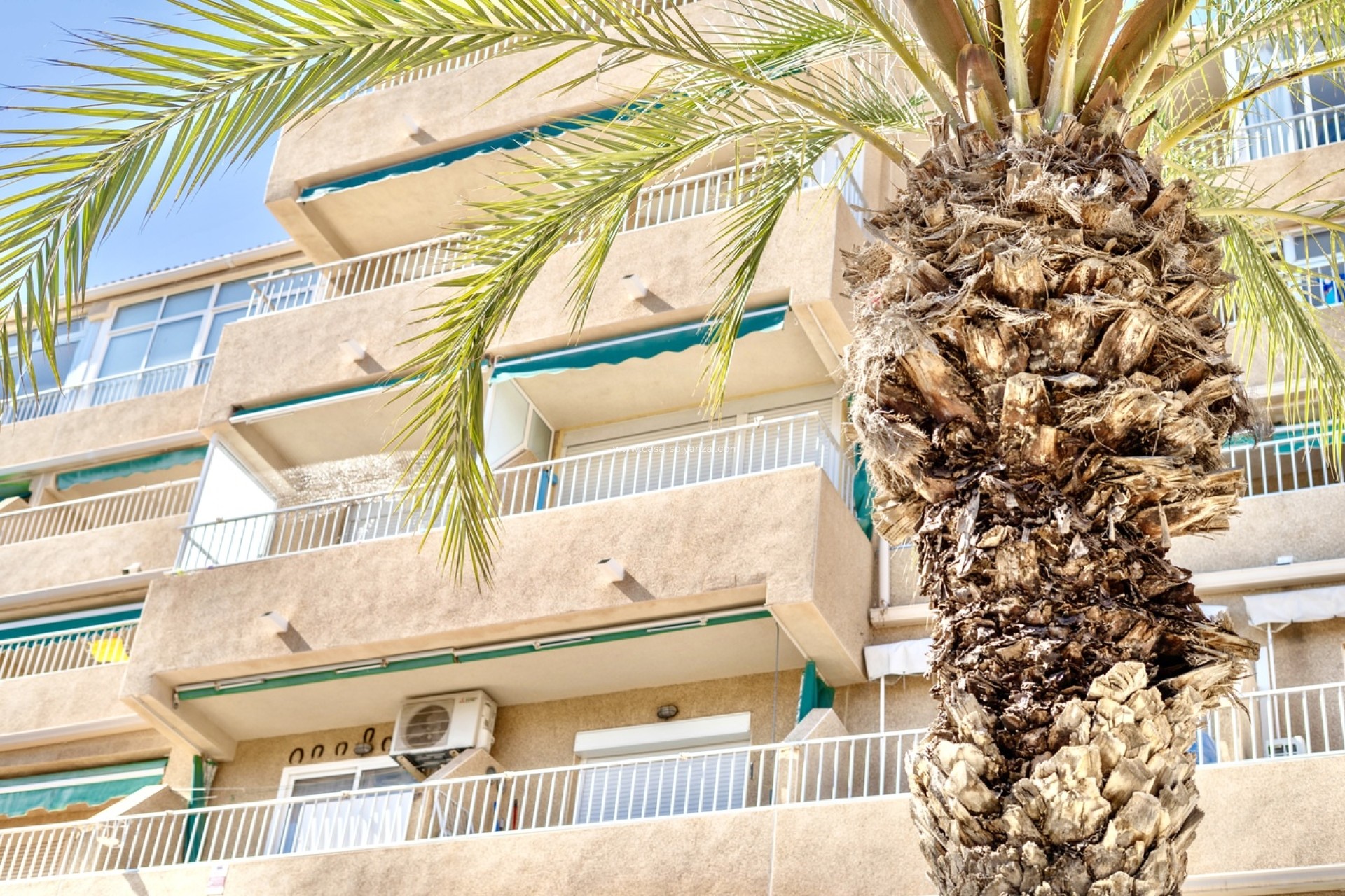 Resale - Apartment / flat - Guardamar del Segura - Costa Blanca