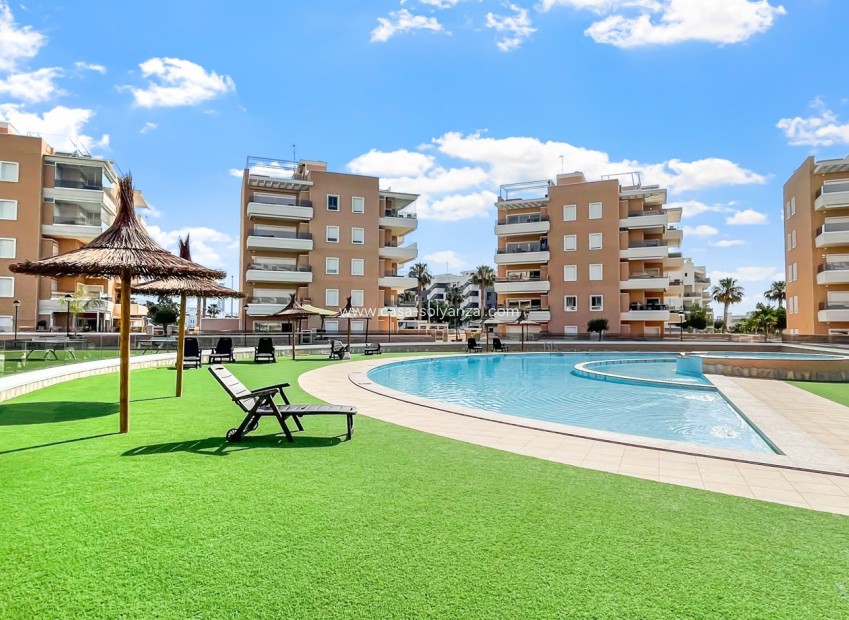 Resale - Apartment / flat - Guardamar del Segura - El Raso