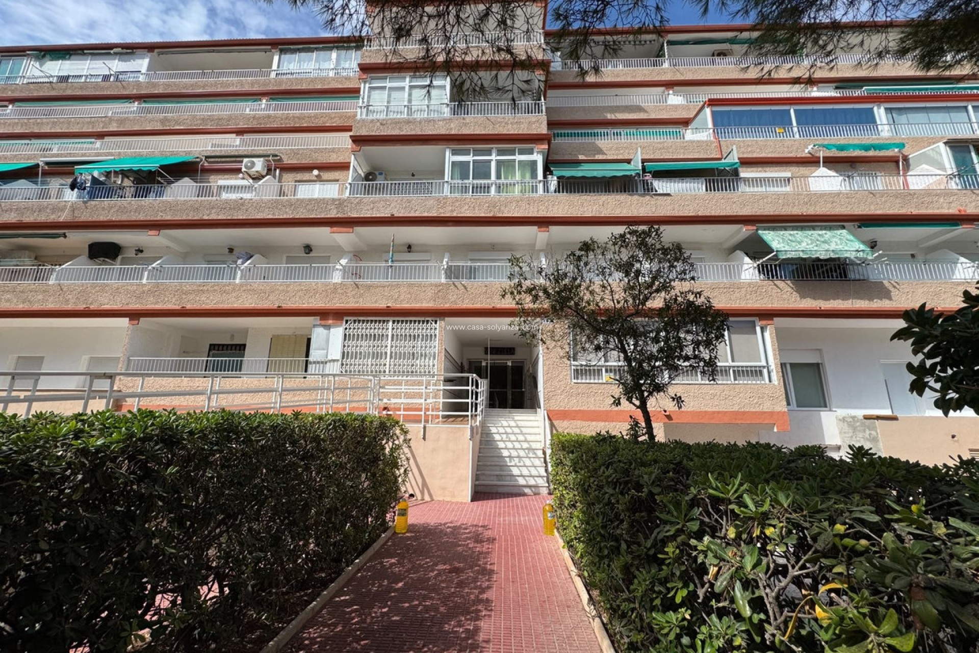 Resale - Apartment / flat - Guardamar del Segura - Guardamar del Segura Centro