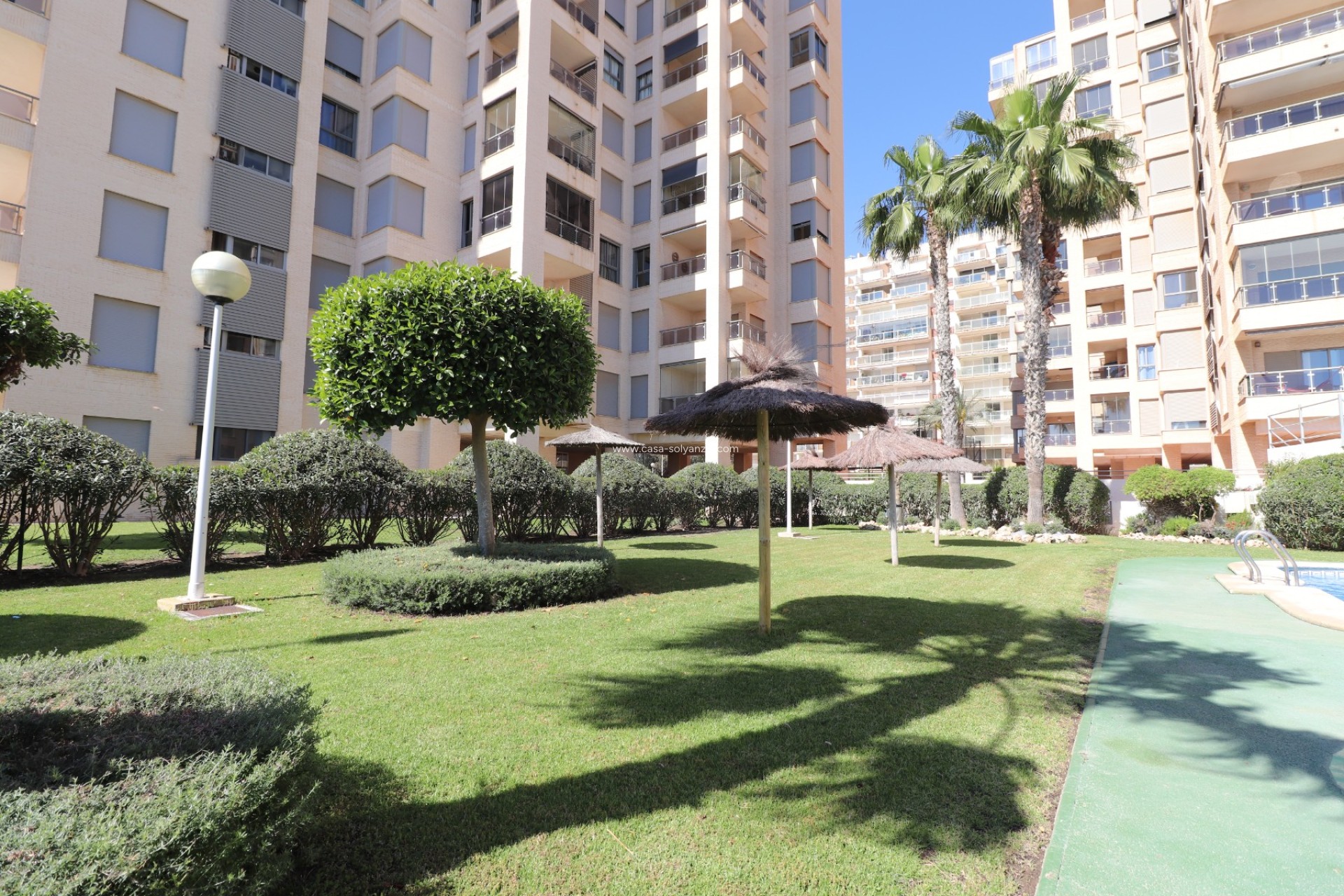 Resale - Apartment / flat - Guardamar del Segura - Guardamar del Segura - Town