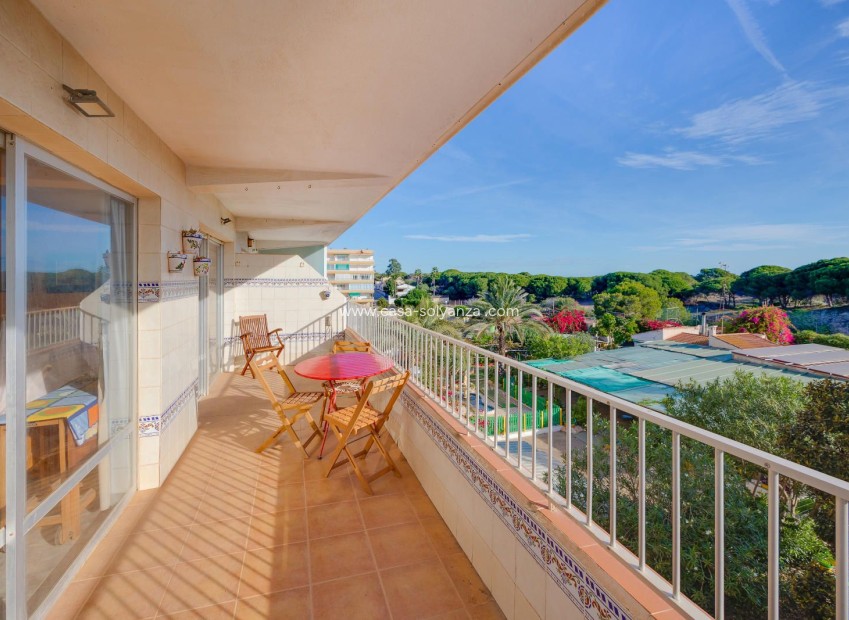 Resale - Apartment / flat - Guardamar del Segura - Pinomar