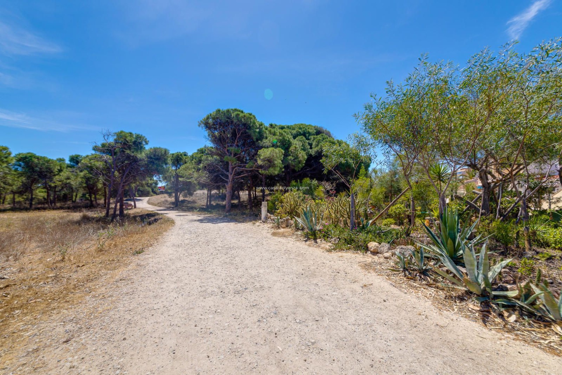 Resale - Apartment / flat - Guardamar del Segura - Pinomar