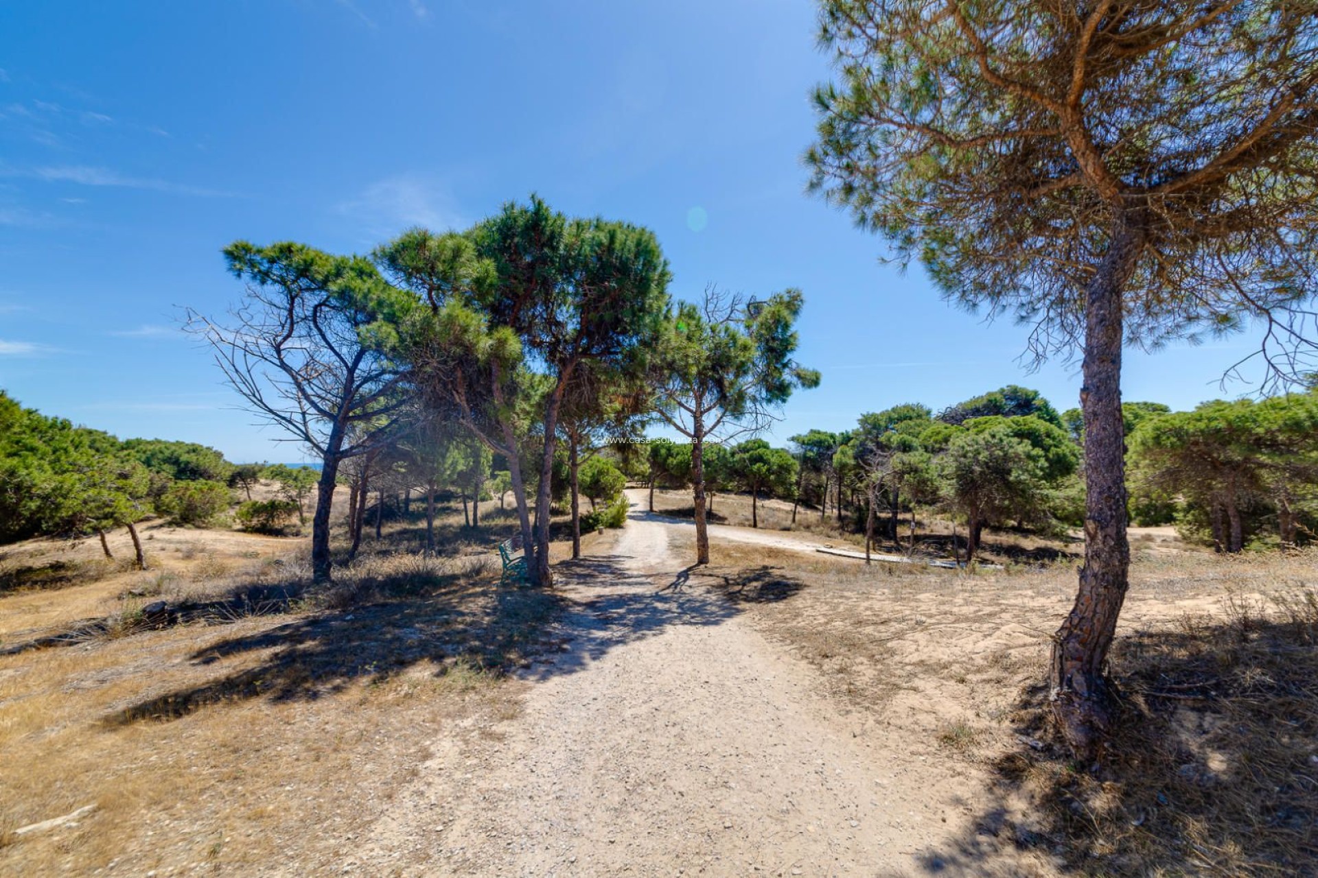 Resale - Apartment / flat - Guardamar del Segura - Pinomar