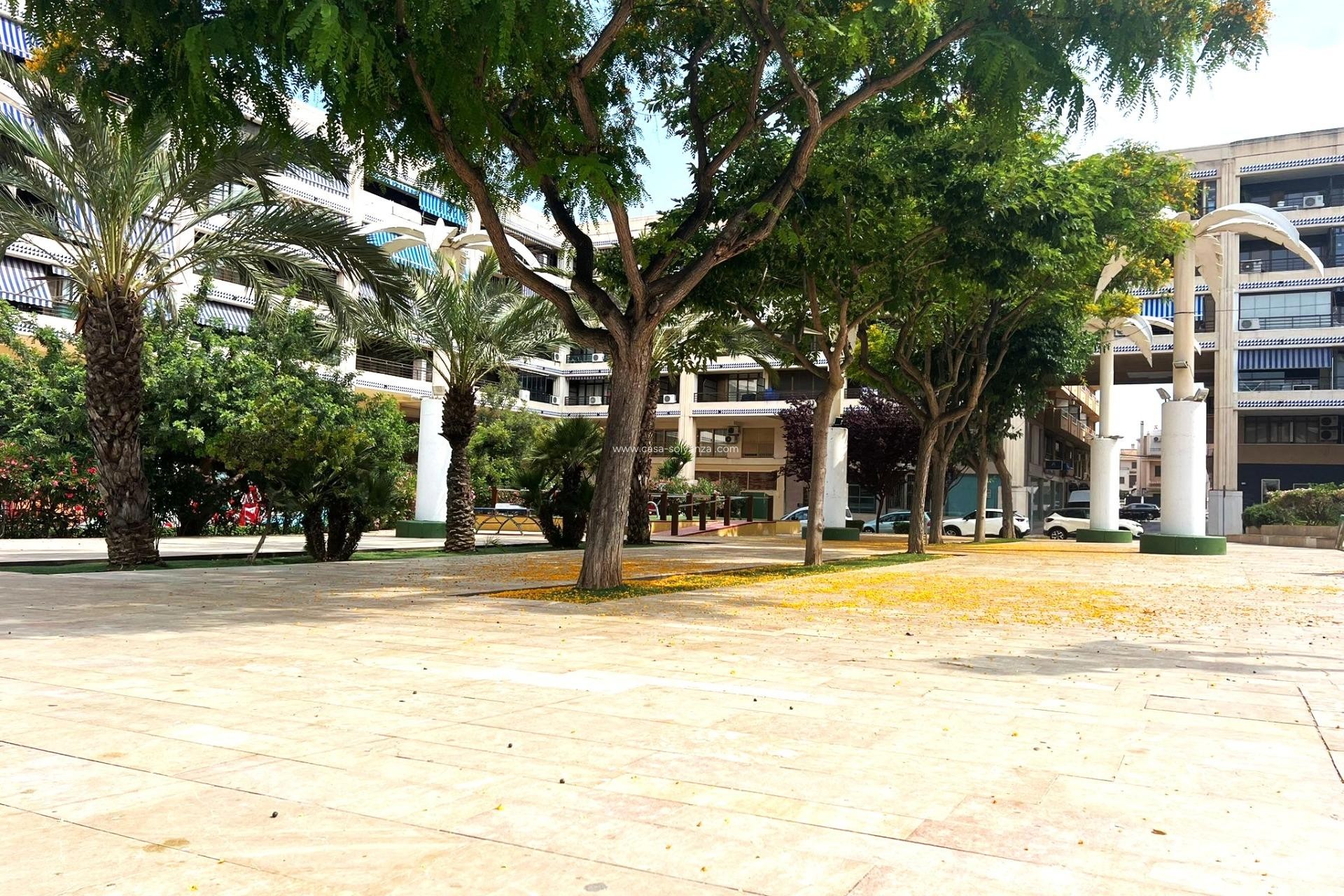 Resale - Apartment / flat - Guardamar del Segura - Pueblo