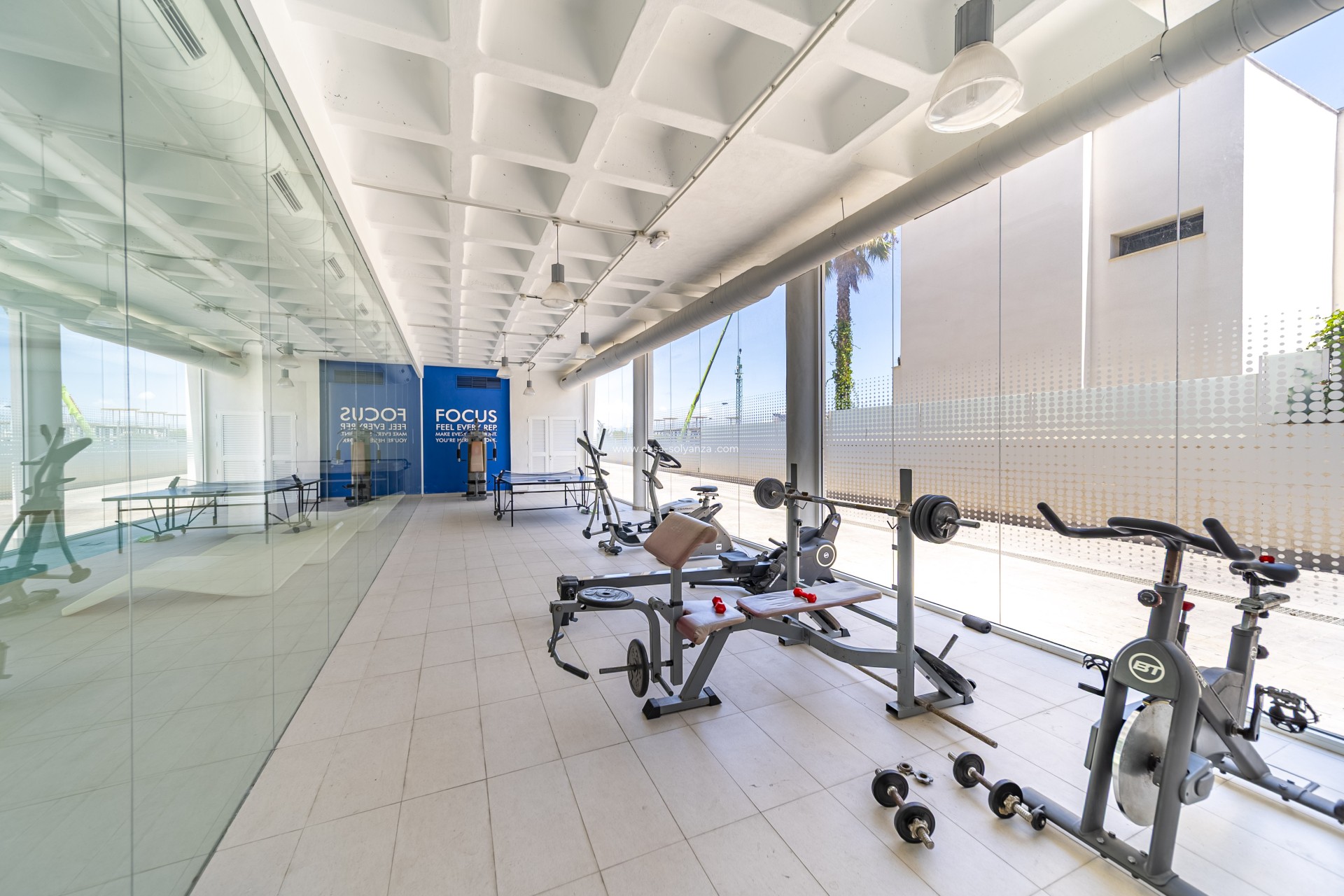 Resale - Apartment / flat - Guardamar del Segura