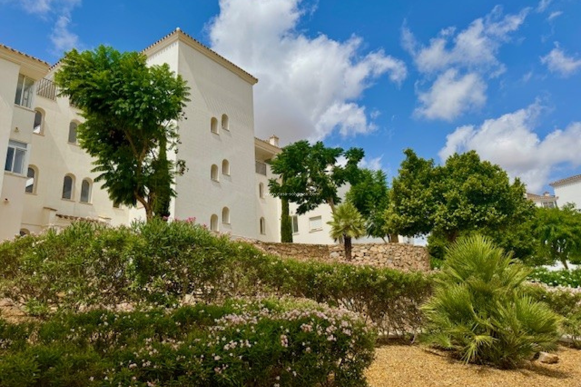 Resale - Apartment / flat - Hacienda Riquelme Golf Resort - Inland
