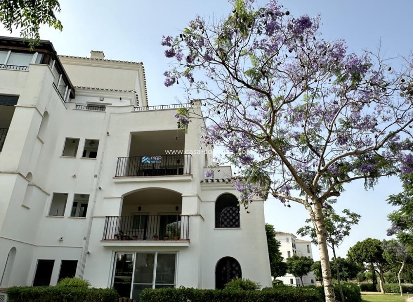 Resale - Apartment / flat - Hacienda Riquelme Golf Resort - Inland