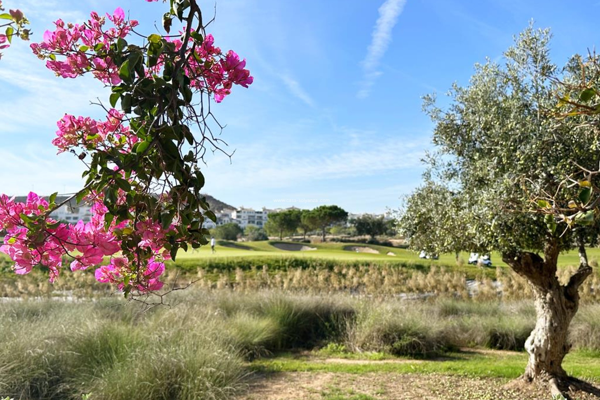 Resale - Apartment / flat - Hacienda Riquelme Golf Resort - Inland