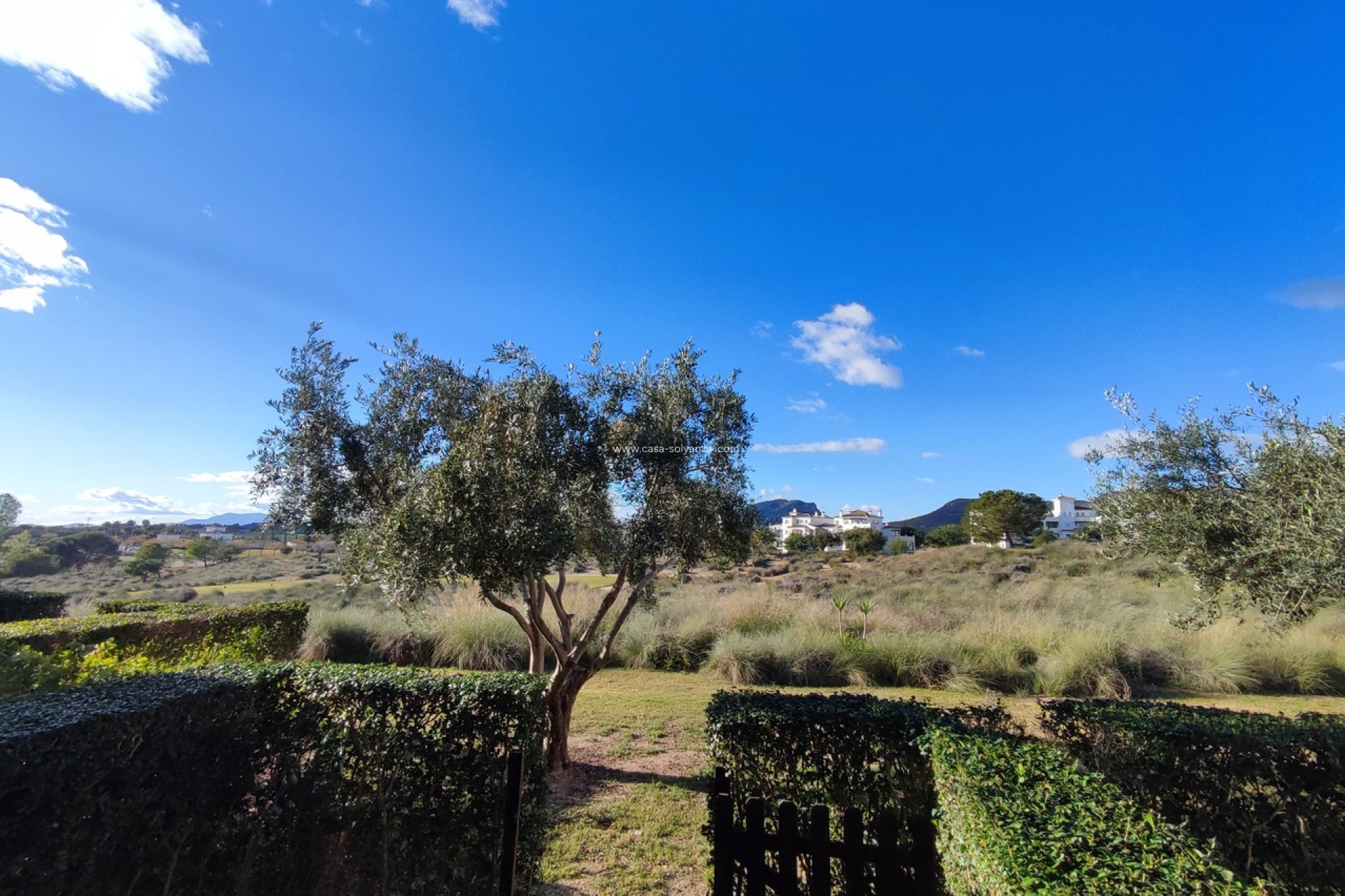 Resale - Apartment / flat - Hacienda Riquelme Golf Resort - Inland