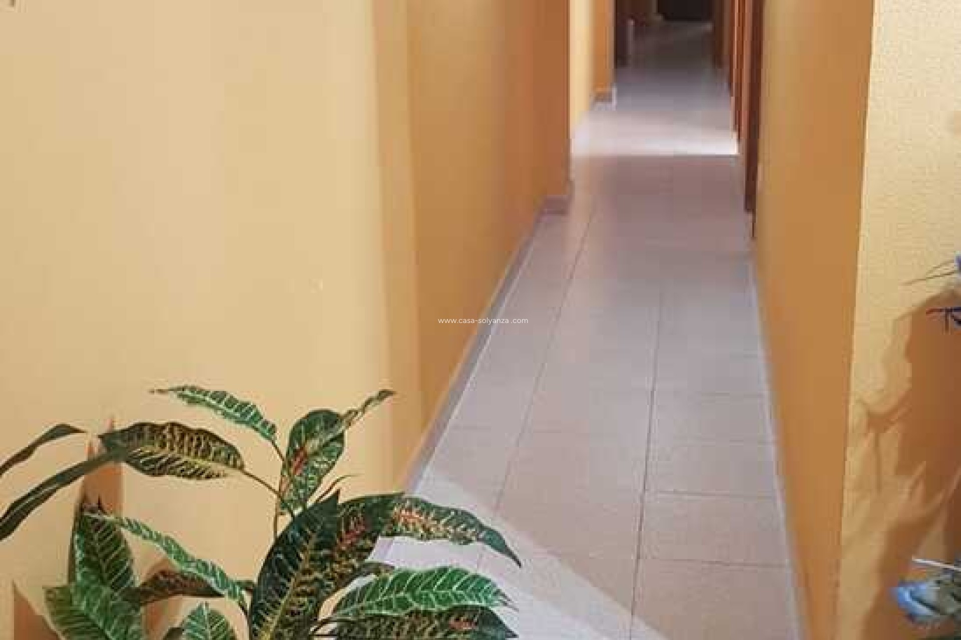 Resale - Apartment / flat - La Mata - Costa Blanca