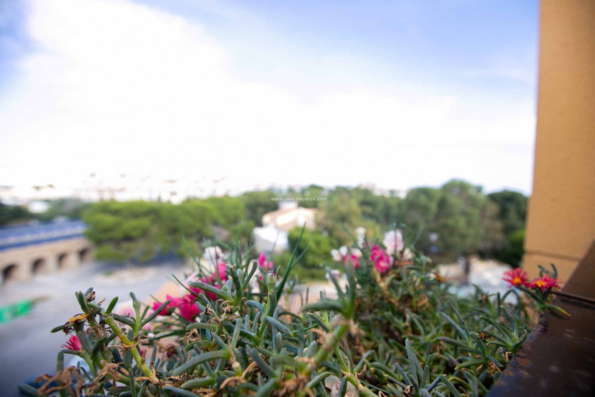 Resale - Apartment / flat - La Zenia - Beach