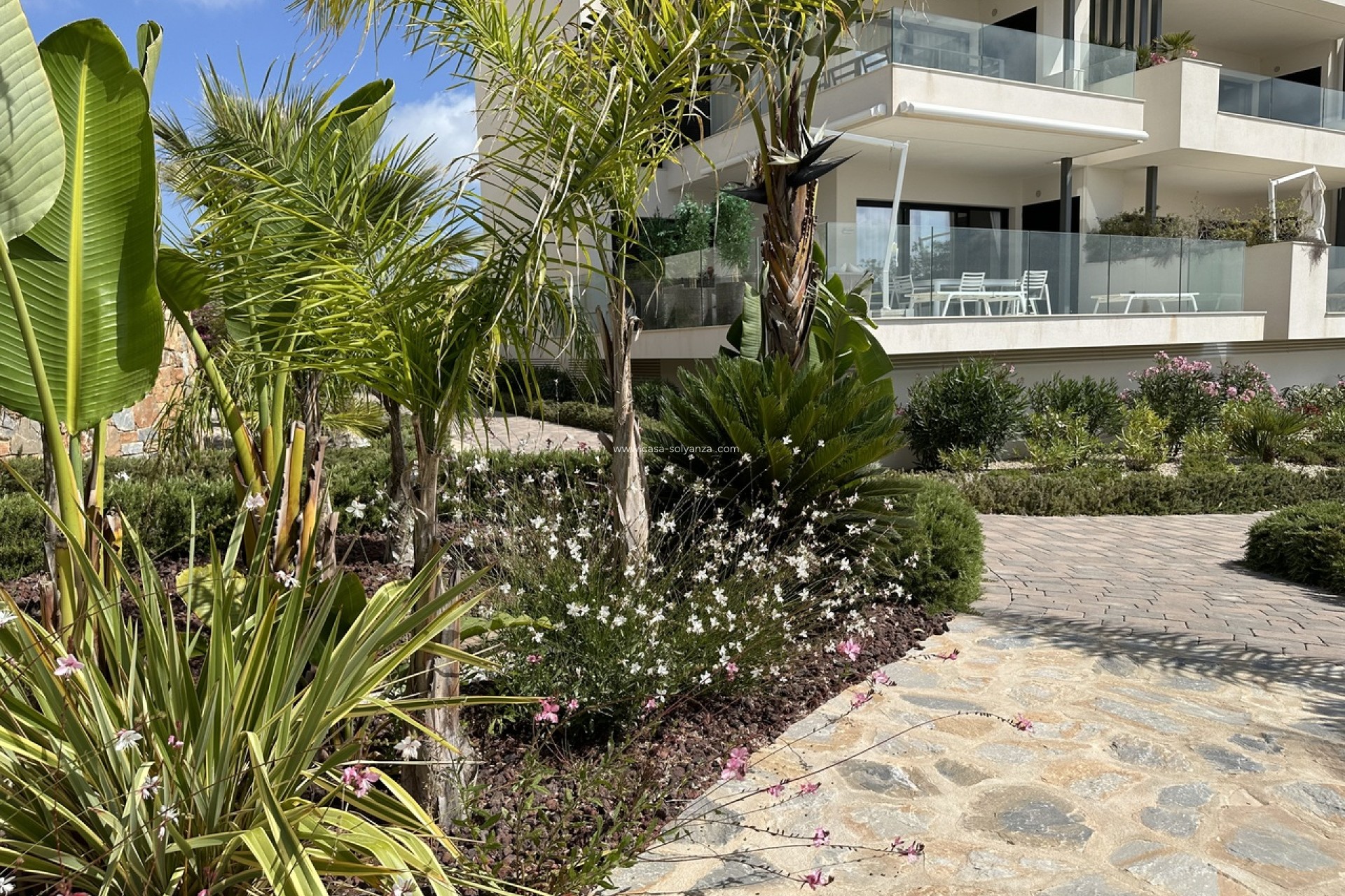 Resale - Apartment / flat - Las Colinas Golf Resort - Costa Blanca