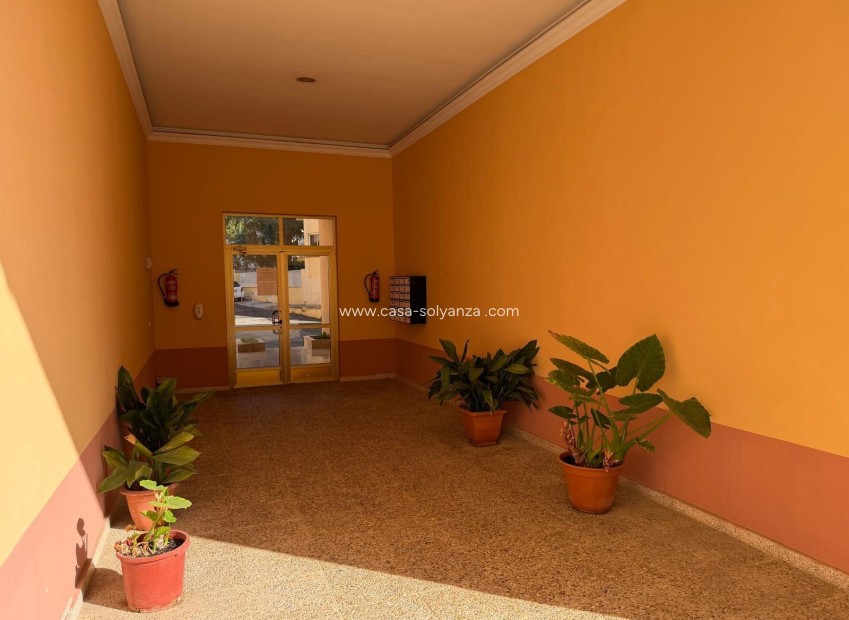 Resale - Apartment / flat - Lo Pagan - Villananitos