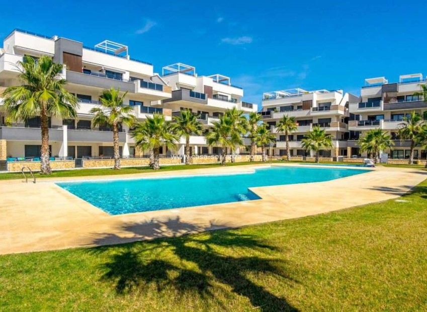 Resale - Apartment / flat - Los Altos - Costa Blanca