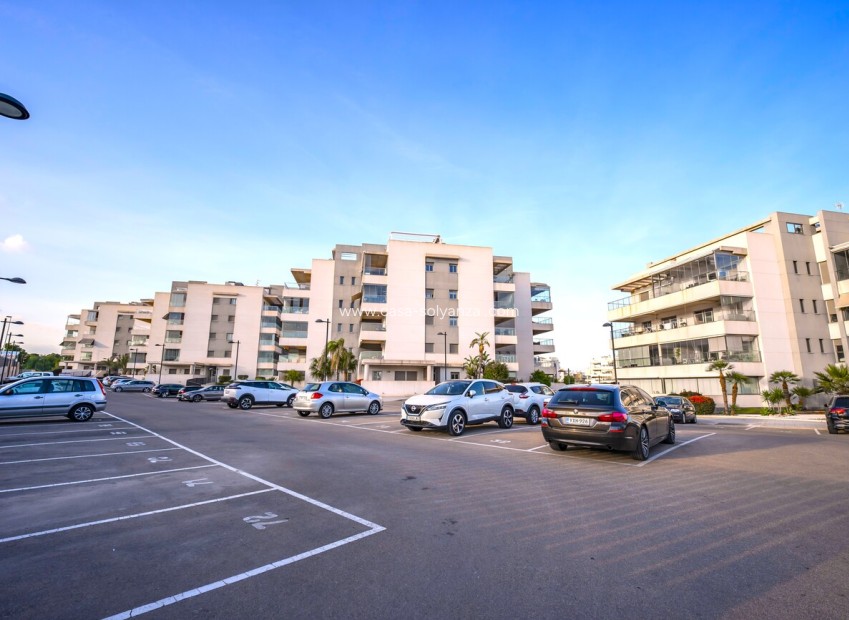 Resale - Apartment / flat - Los Dolses - Altos de Mediterraneo