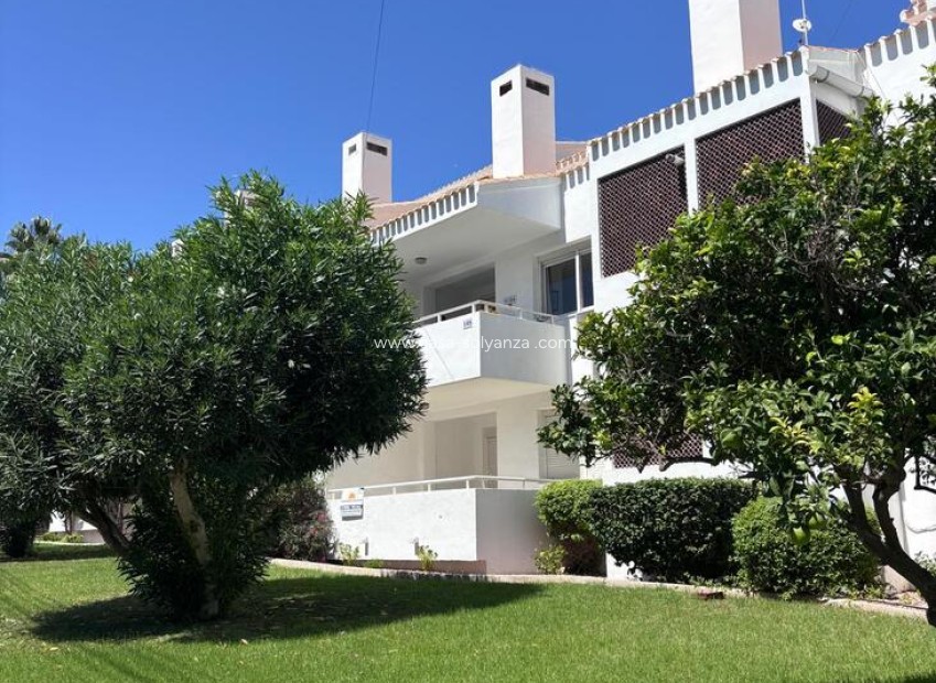 Resale - Apartment / flat - Los Dolses - Inland