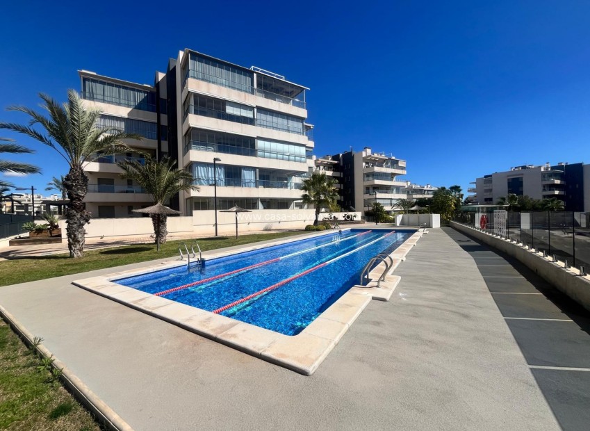 Resale - Apartment / flat - Los Dolses - Inland