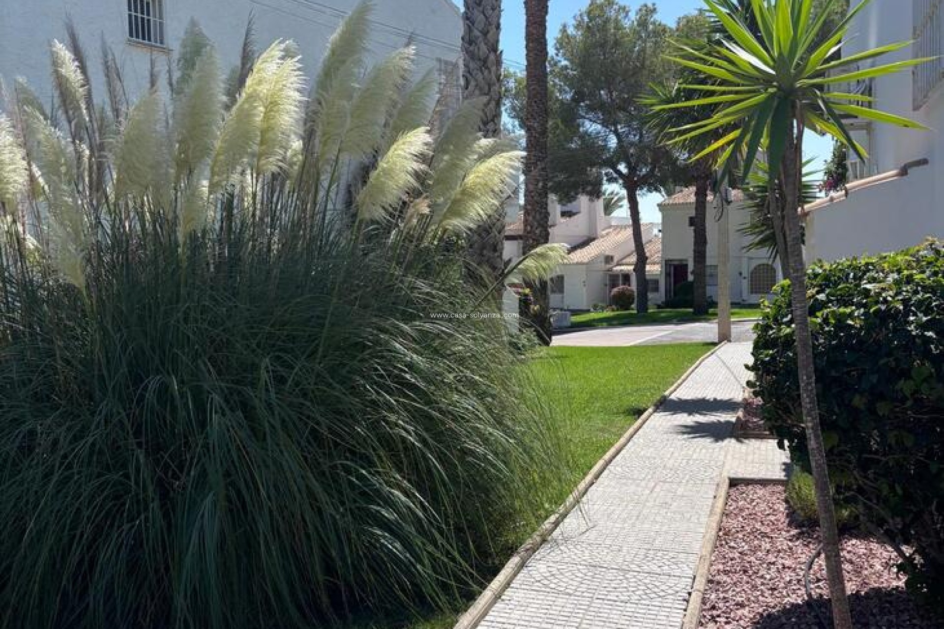 Resale - Apartment / flat - Los Dolses - La Rioja