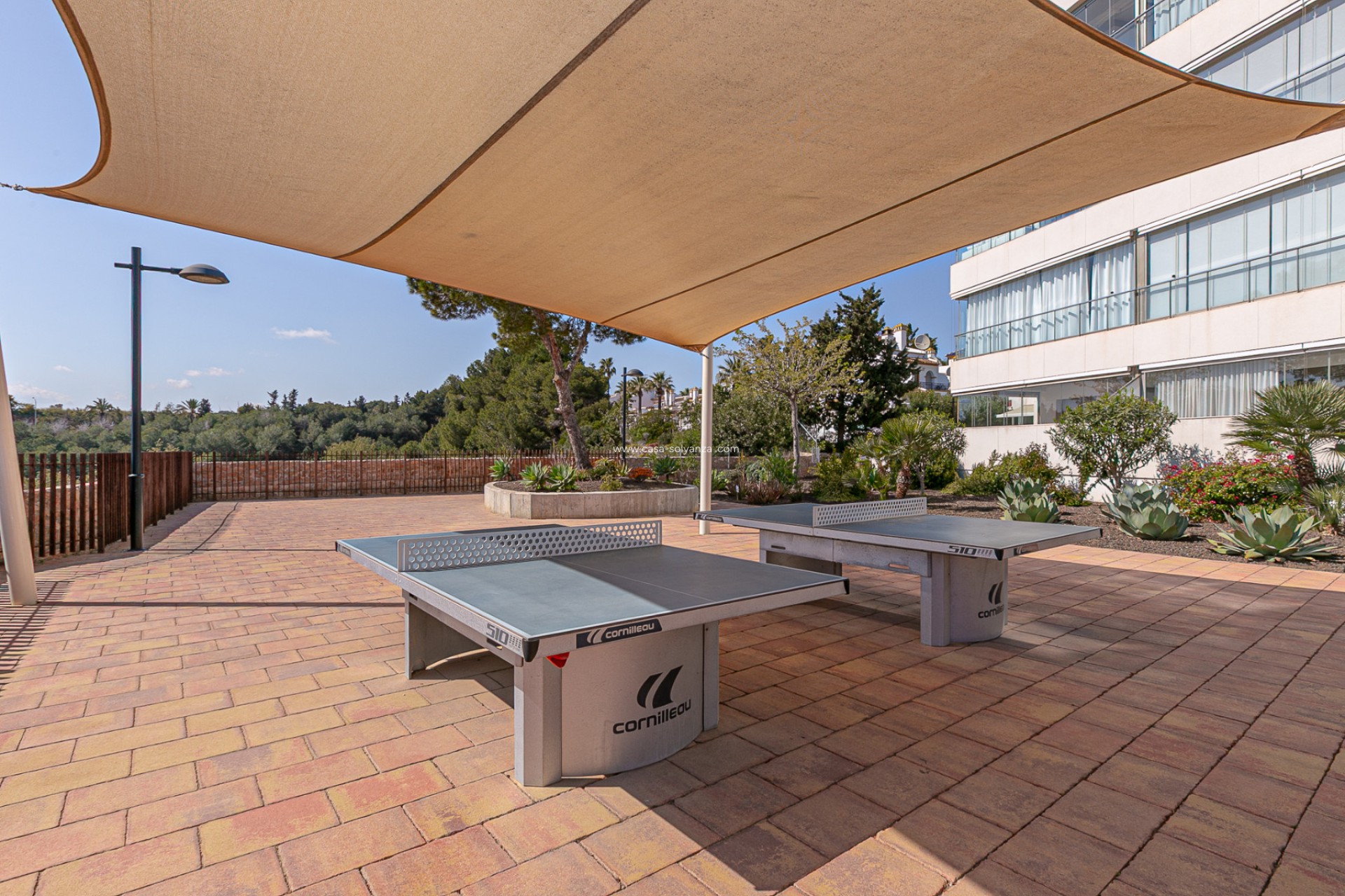 Resale - Apartment / flat - Los Dolses - Pimienta