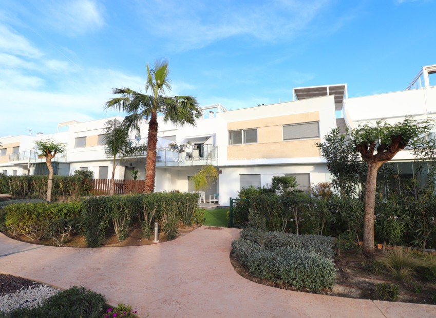 Resale - Apartment / flat - Los Montesinos - Entre Naranjos / Vistabella Golf
