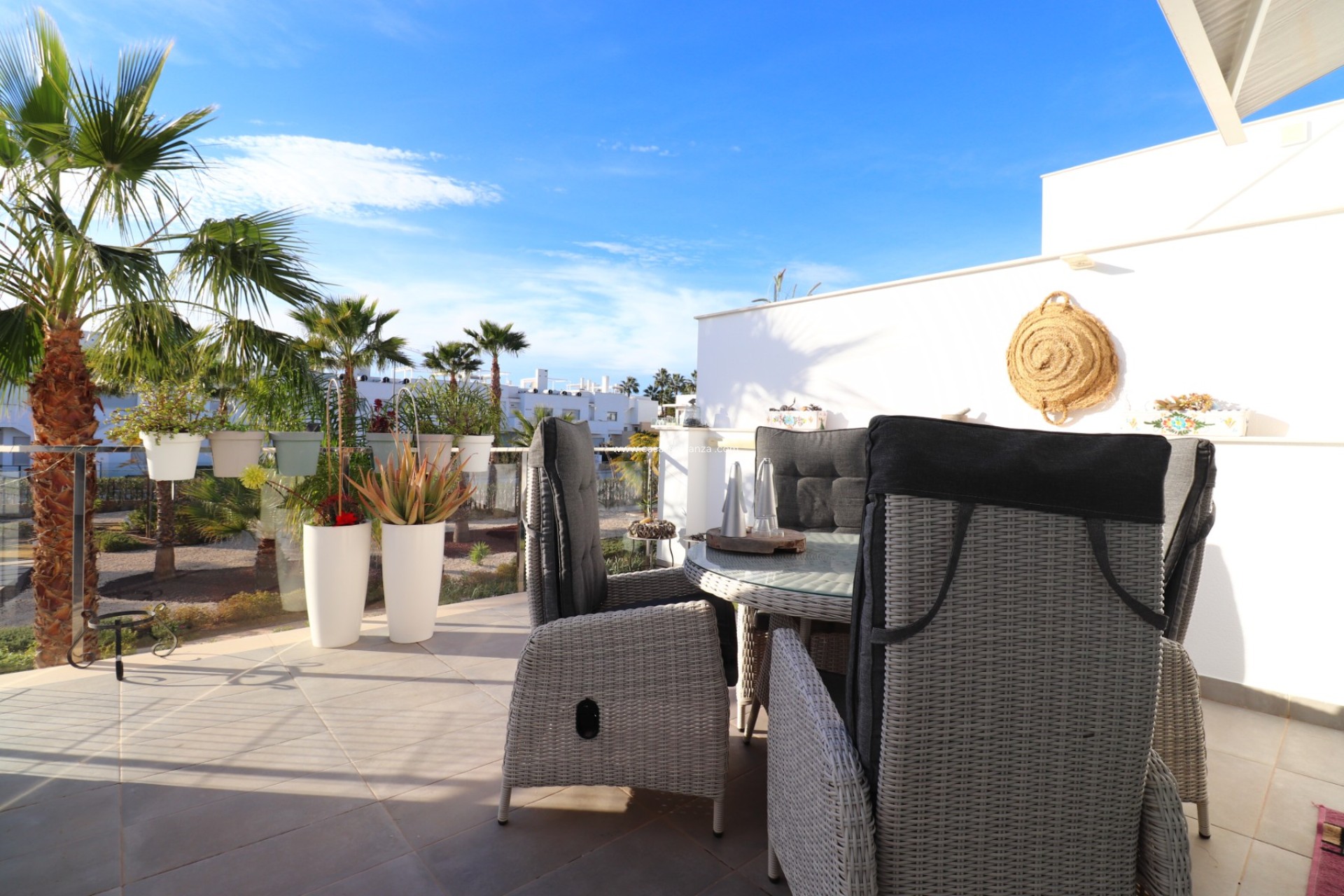 Resale - Apartment / flat - Los Montesinos - Entre Naranjos / Vistabella Golf