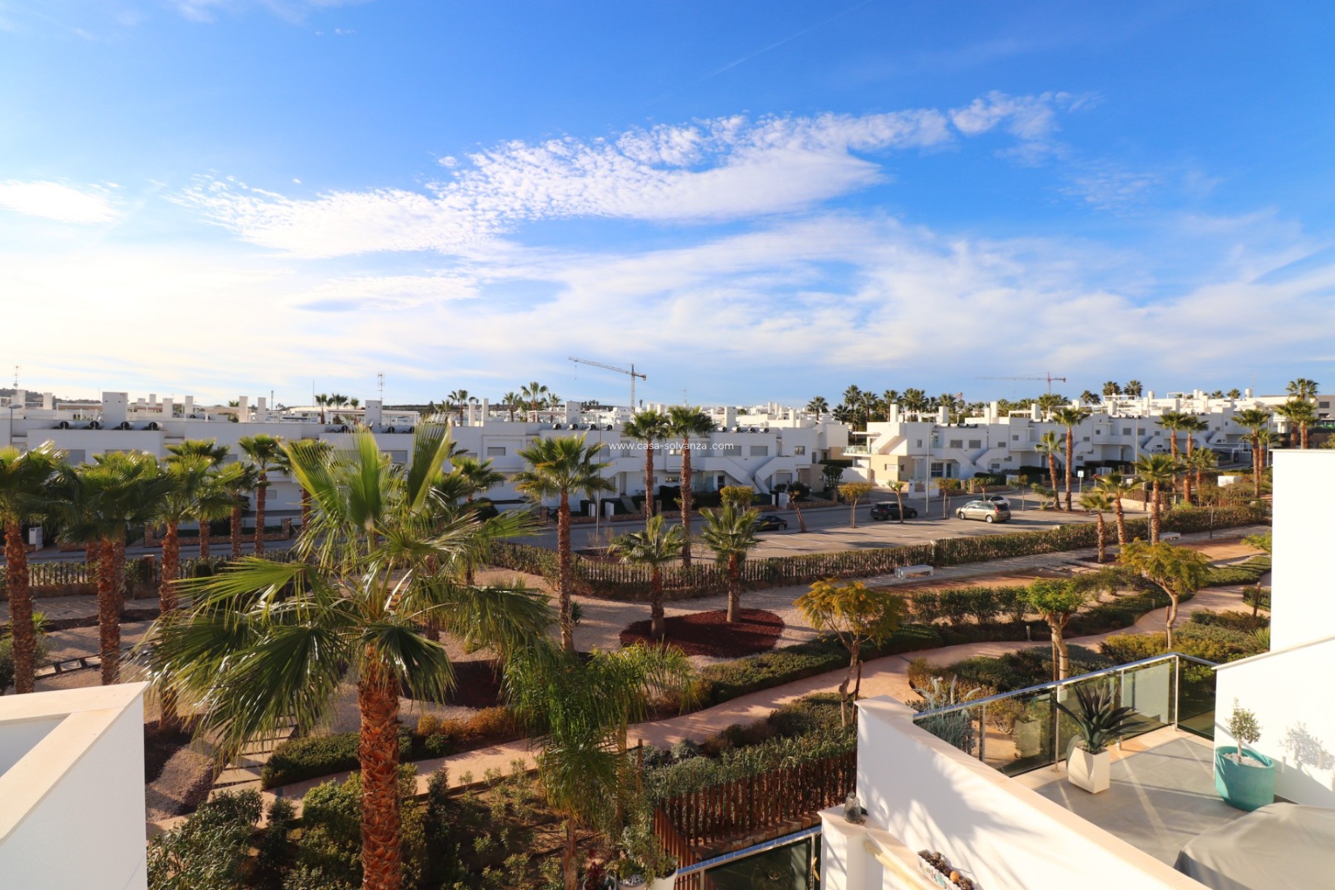 Resale - Apartment / flat - Los Montesinos - Entre Naranjos / Vistabella Golf