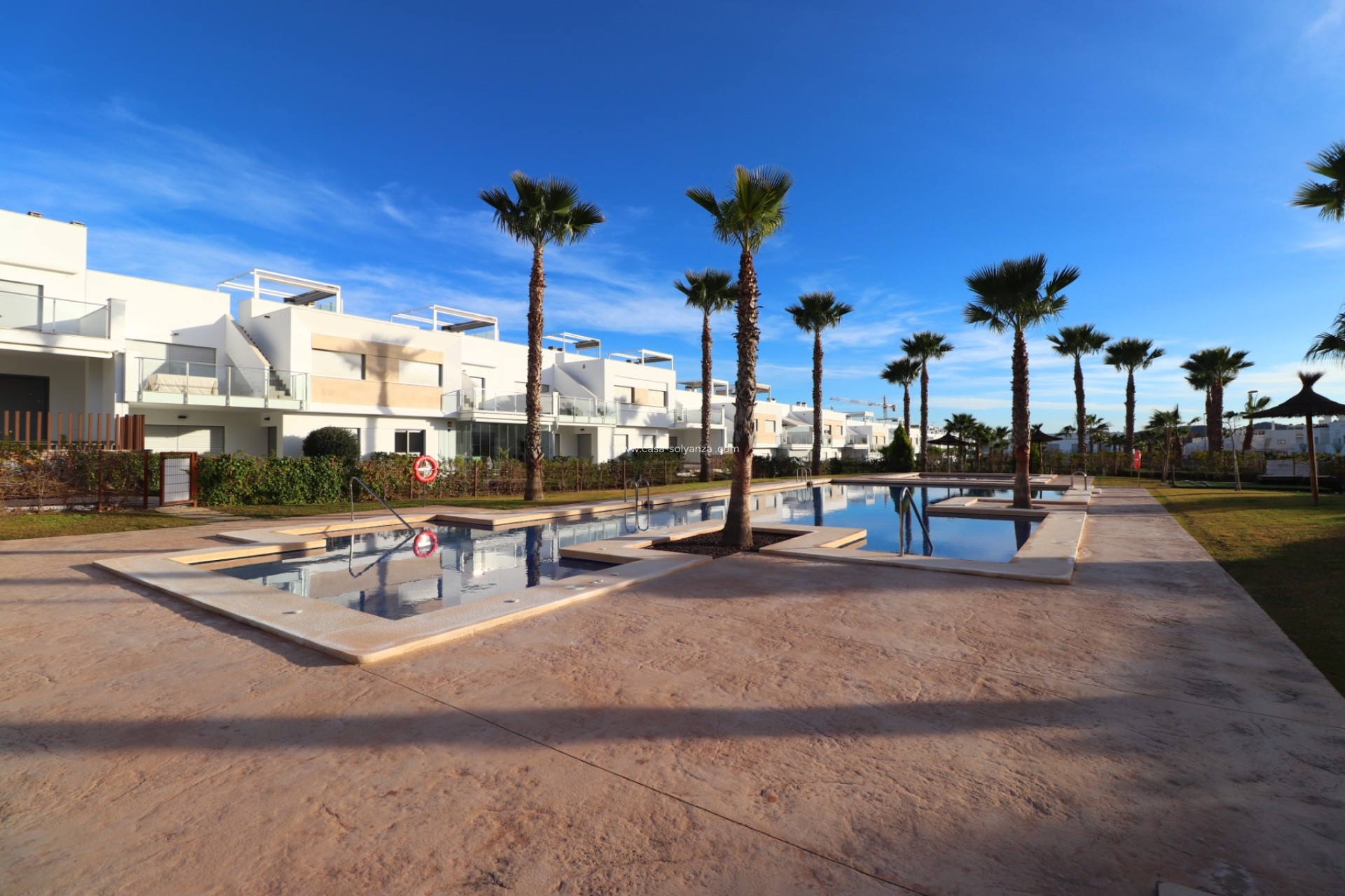 Resale - Apartment / flat - Los Montesinos - Entre Naranjos / Vistabella Golf