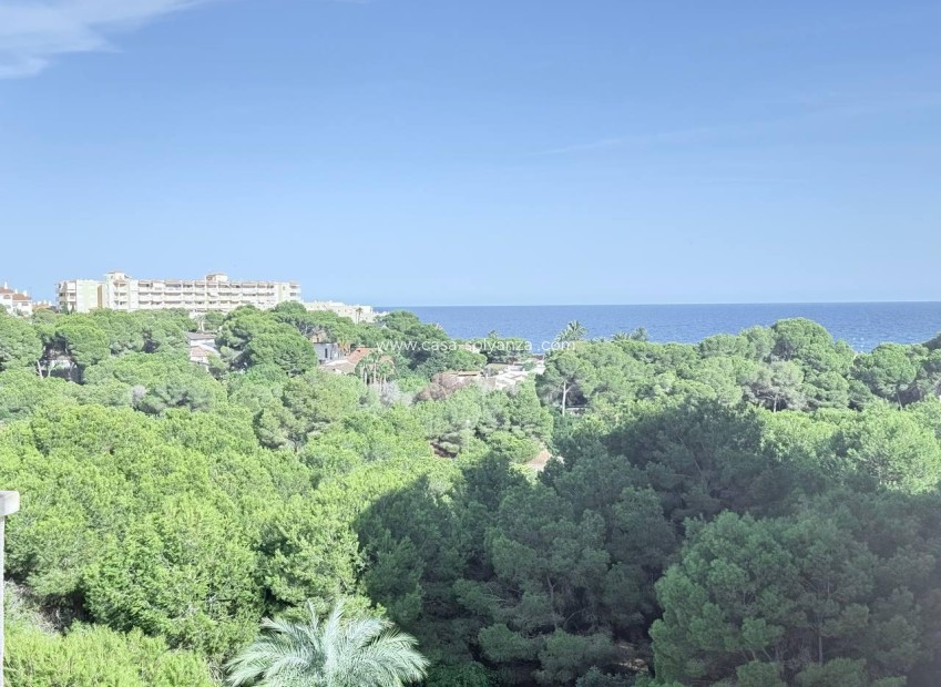 Resale - Apartment / flat - Orihuela Costa - Campoamor