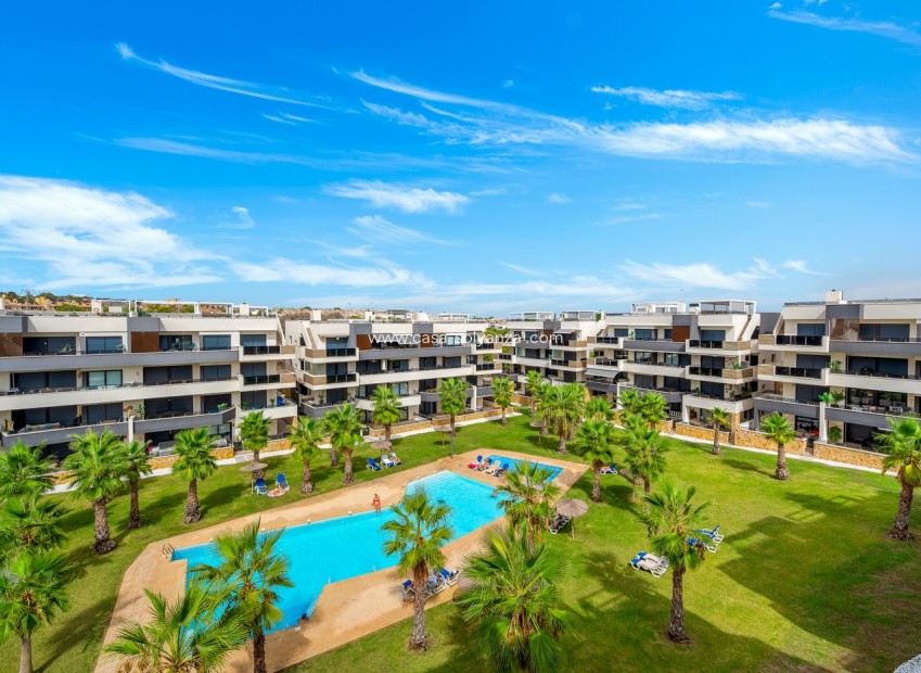 Resale - Apartment / flat - Orihuela Costa - Costa Blanca