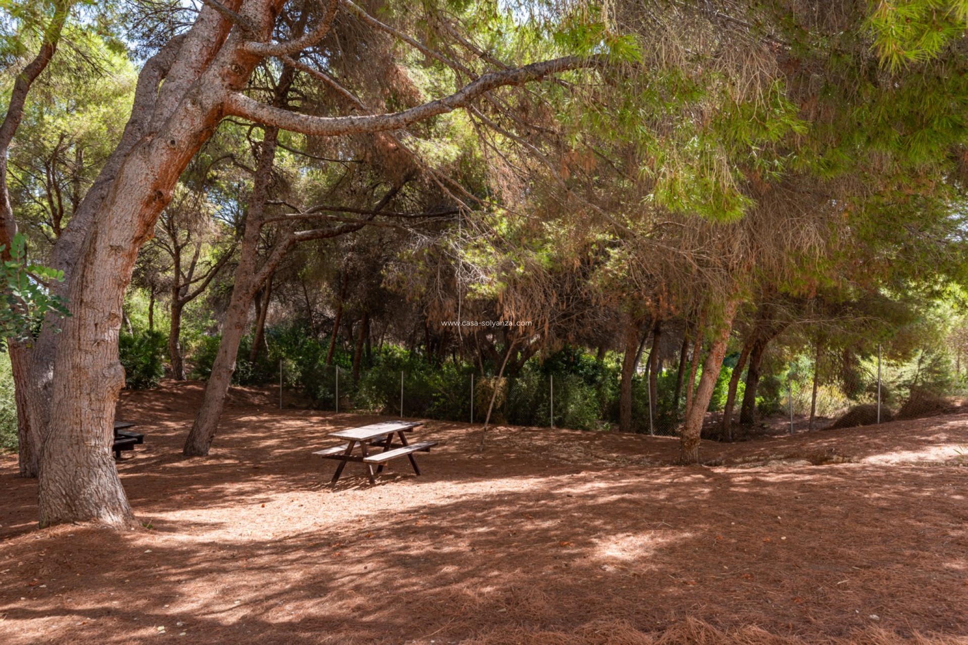 Resale - Apartment / flat - Orihuela Costa - Costa Blanca