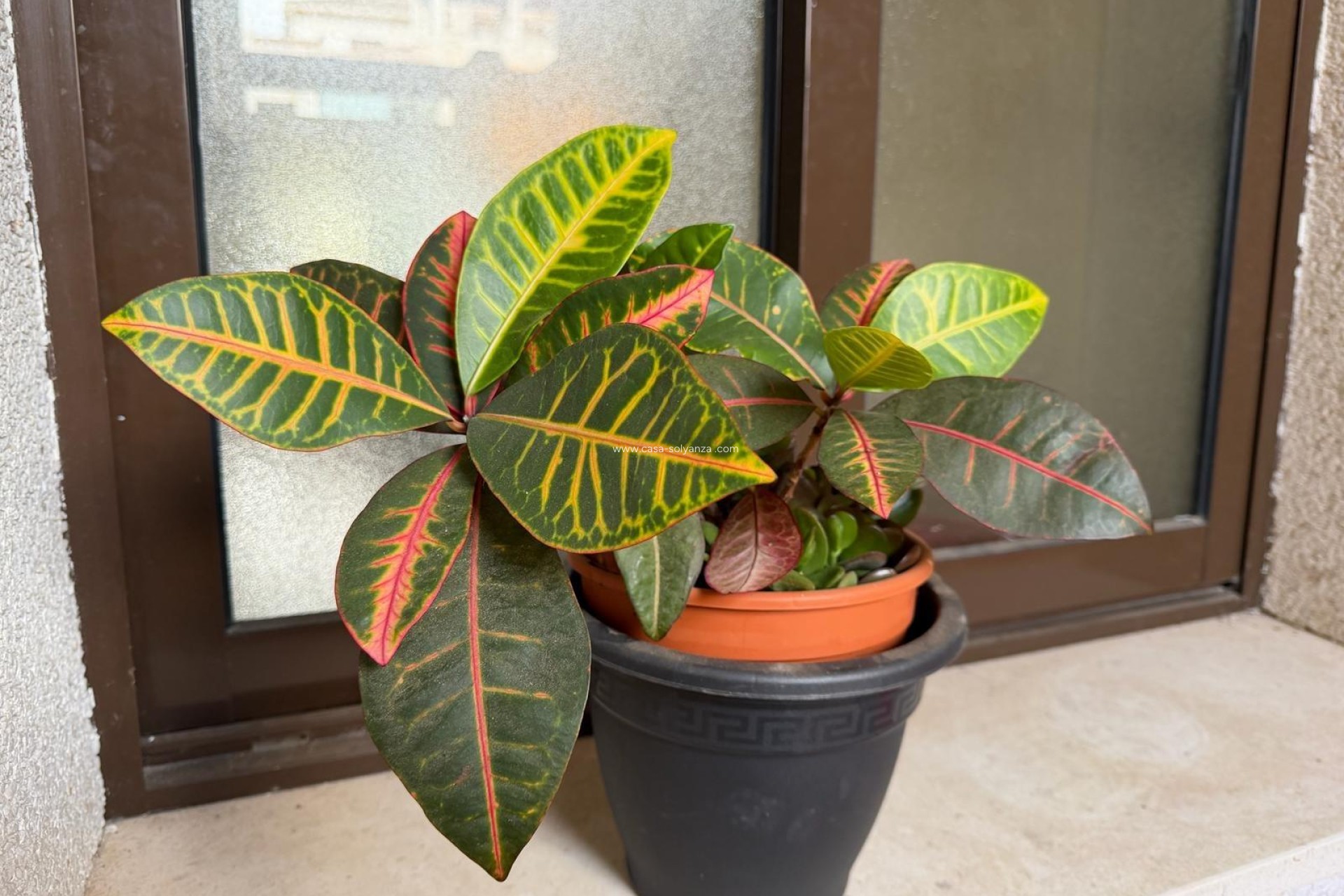 Resale - Apartment / flat - Orihuela Costa - Las Ramblas