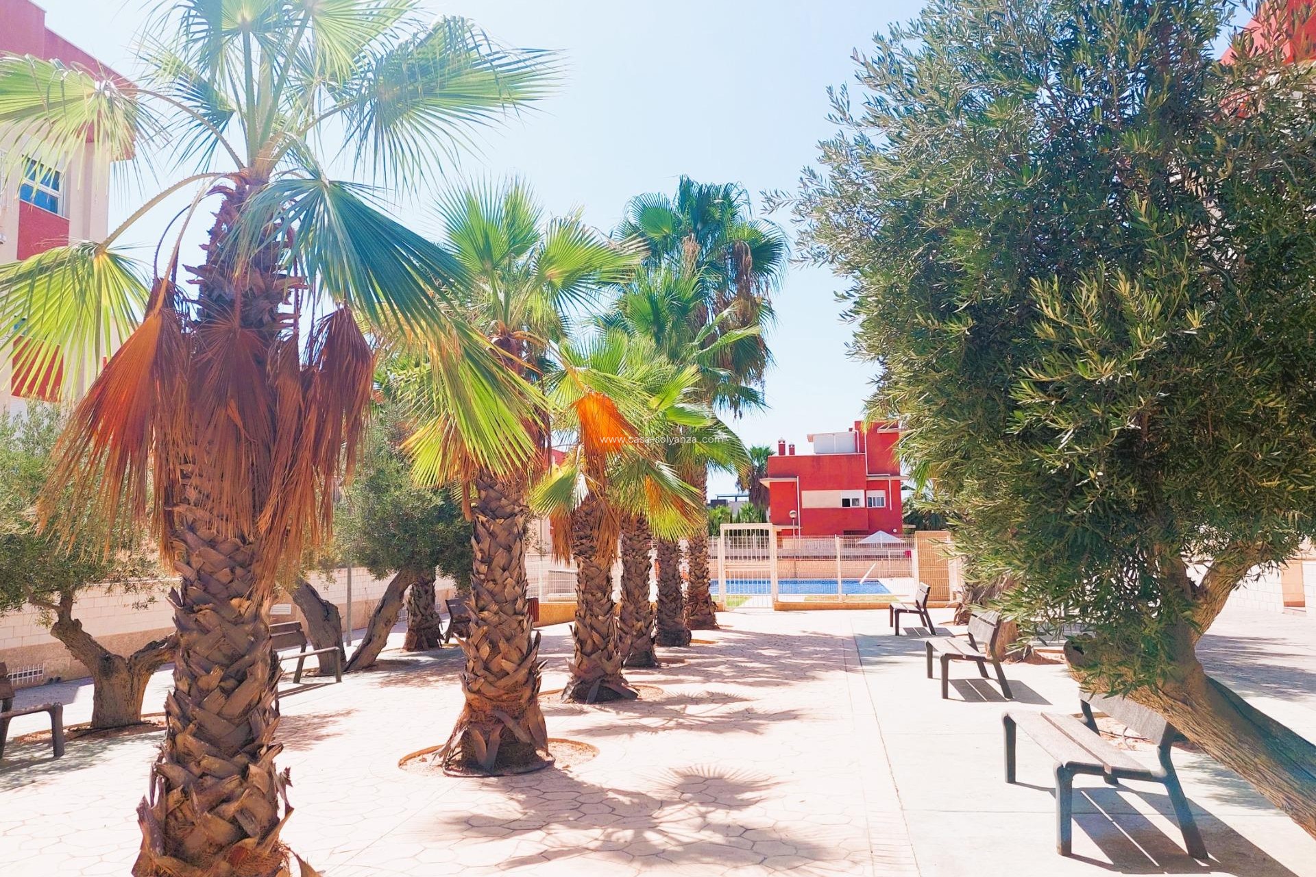 Resale - Apartment / flat - Orihuela Costa - Lomas de Cabo Roig