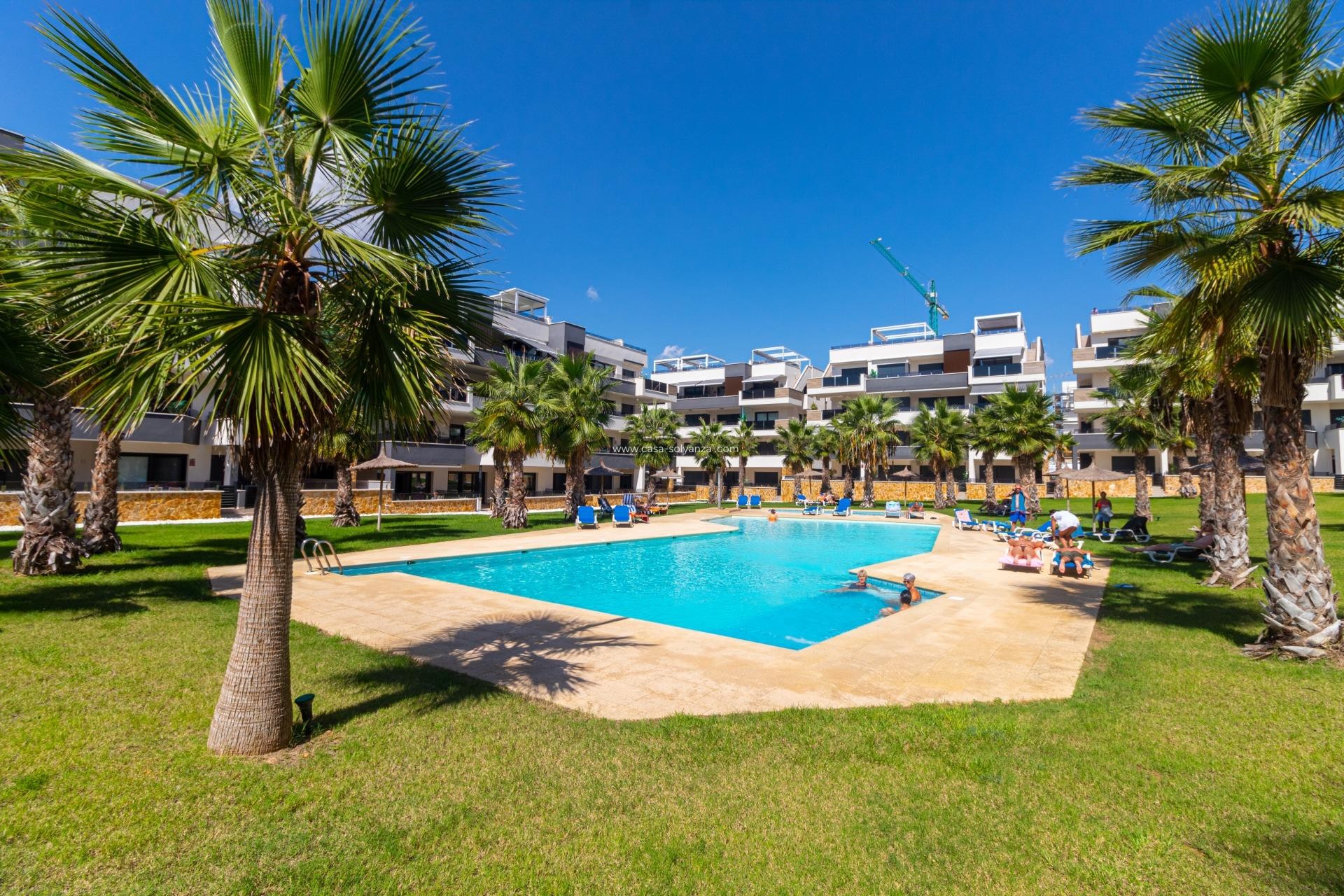 Resale - Apartment / flat - Orihuela Costa - Los Almendros-La Florida