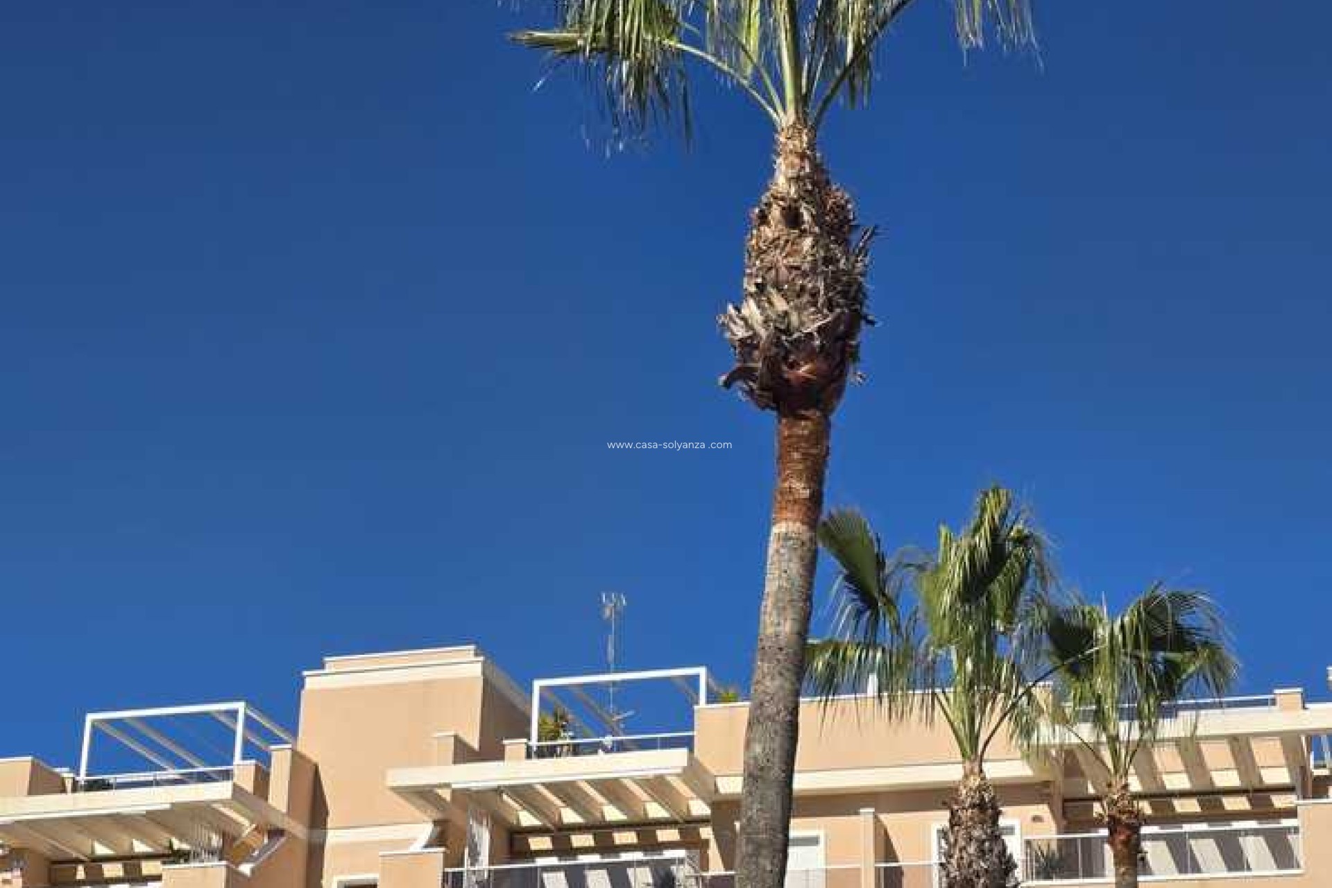 Resale - Apartment / flat - Orihuela Costa - Los Dolses