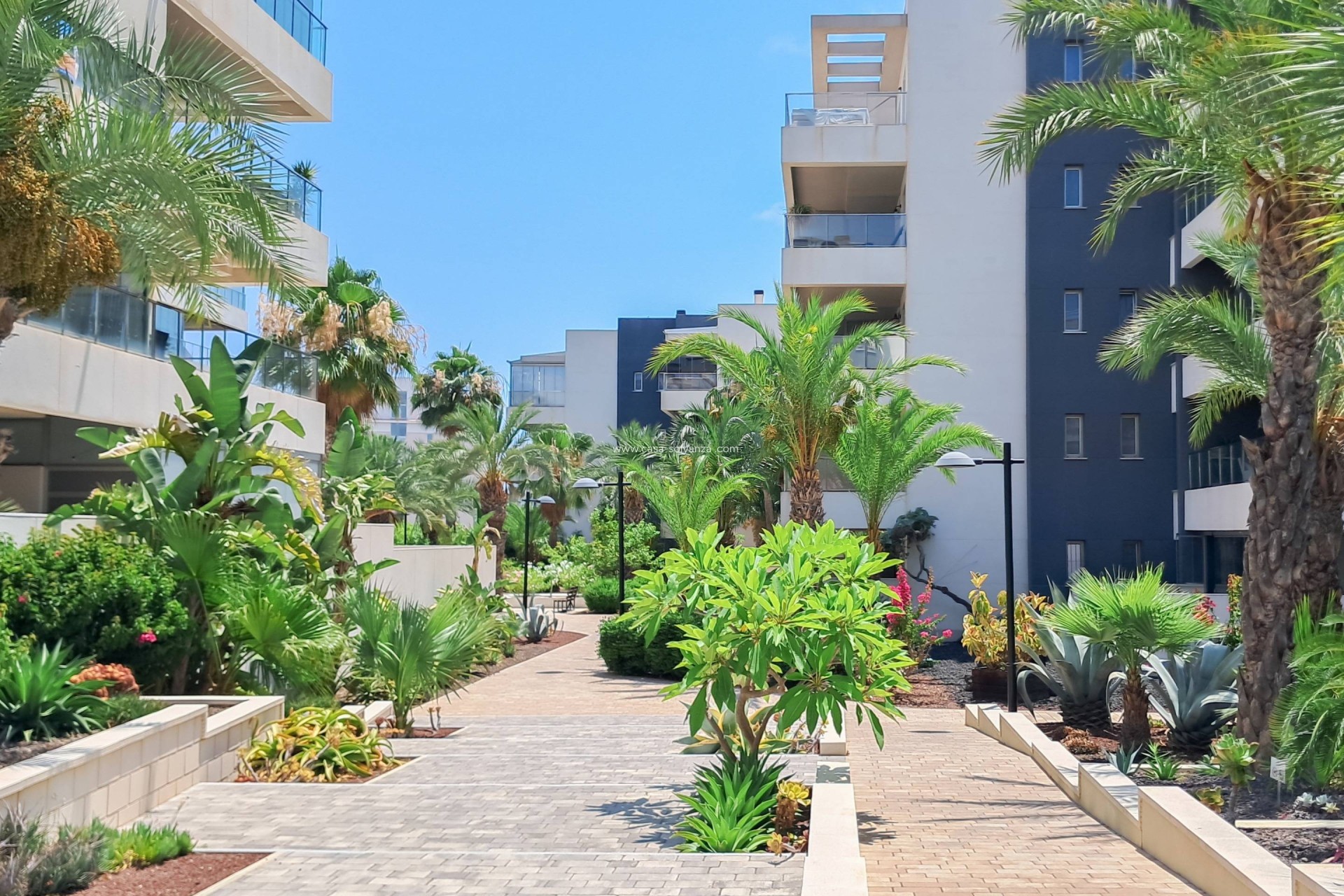 Resale - Apartment / flat - Orihuela Costa - Los Dolses