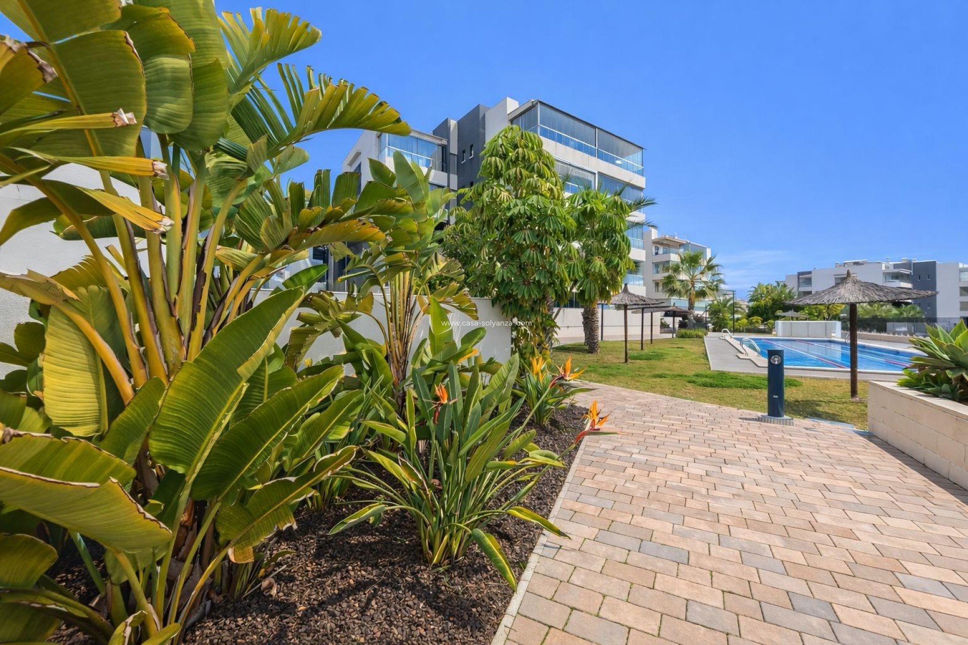 Resale - Apartment / flat - Orihuela Costa - Villamartín