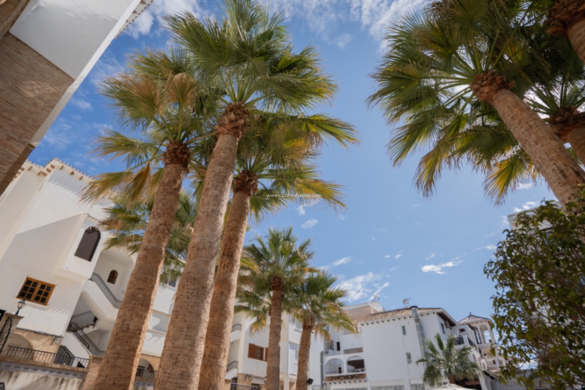 Resale - Apartment / flat - Orihuela - Inland