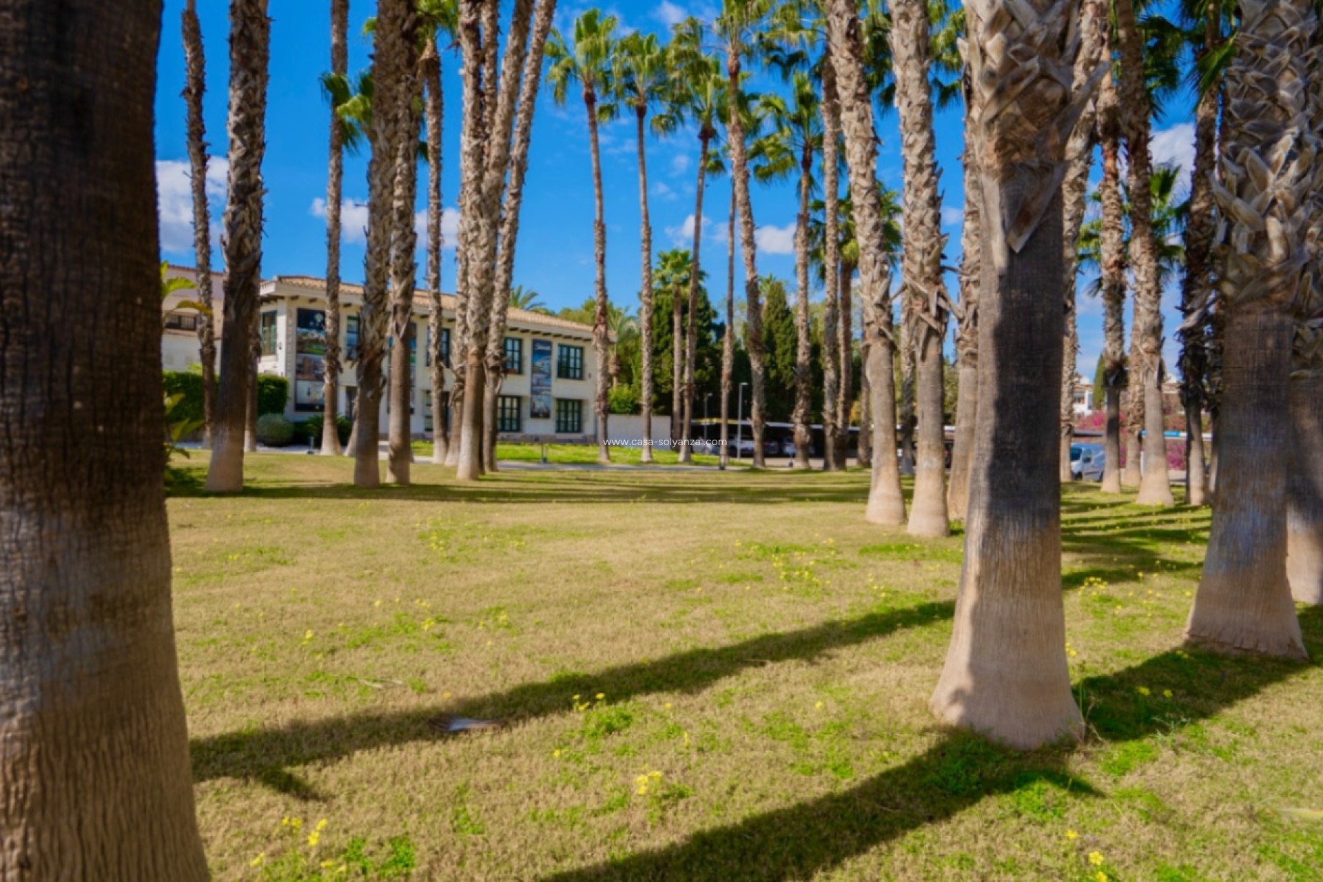 Resale - Apartment / flat - Orihuela - Inland