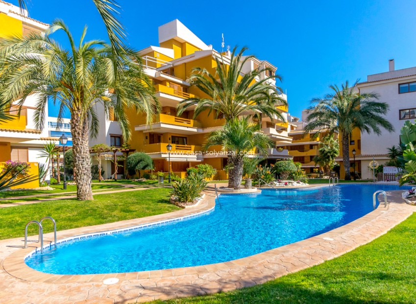 Resale - Apartment / flat - Orihuela - Punta Prima