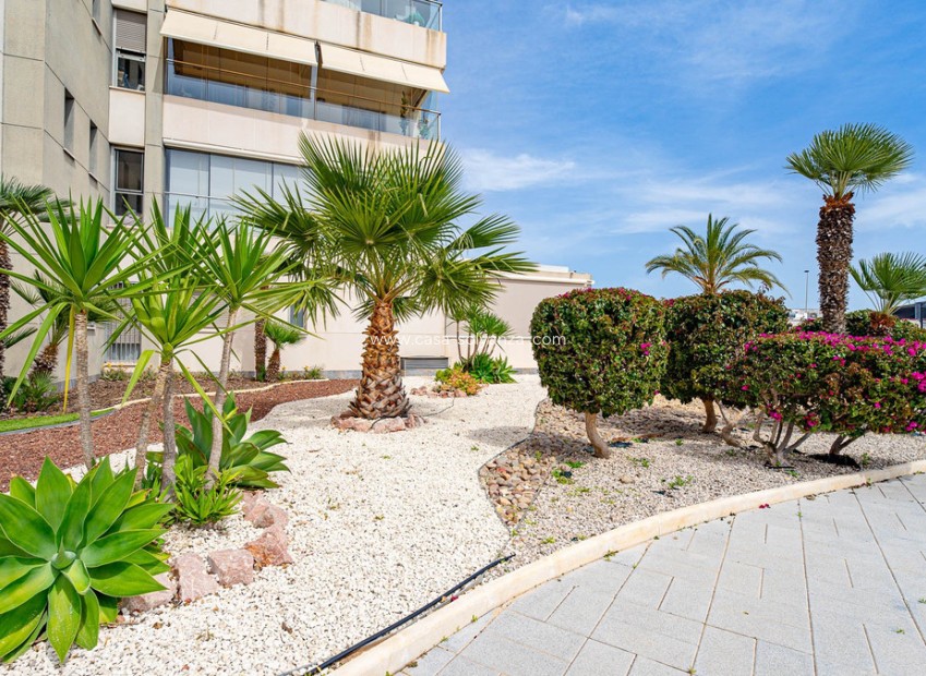 Resale - Apartment / flat - Orihuela - Villamartin