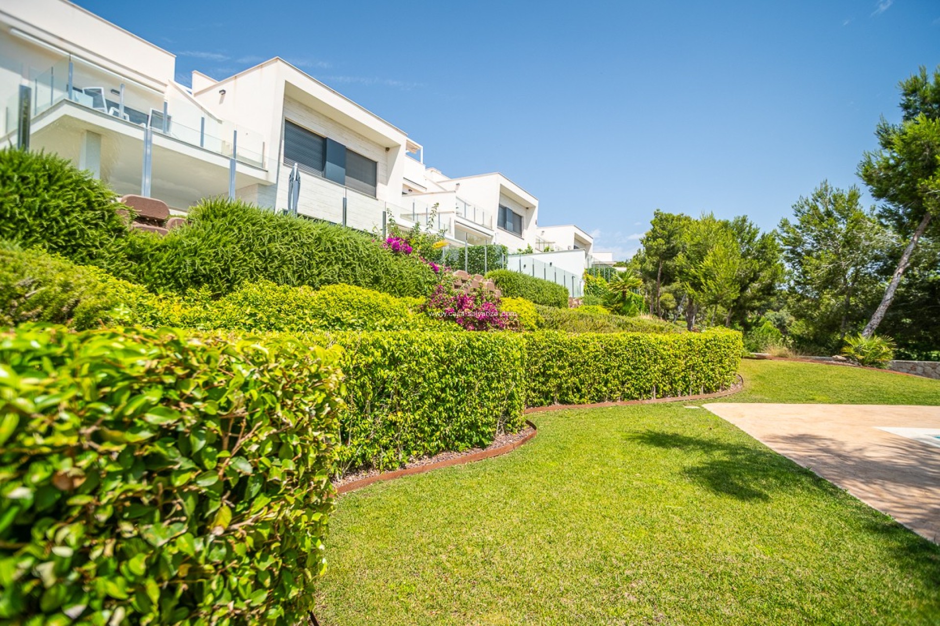 Resale - Apartment / flat - PILAR DE LA HORADADA - Lo Romero Golf
