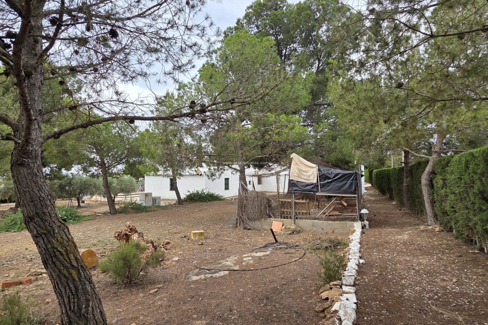 Resale - Apartment / flat - Pinoso