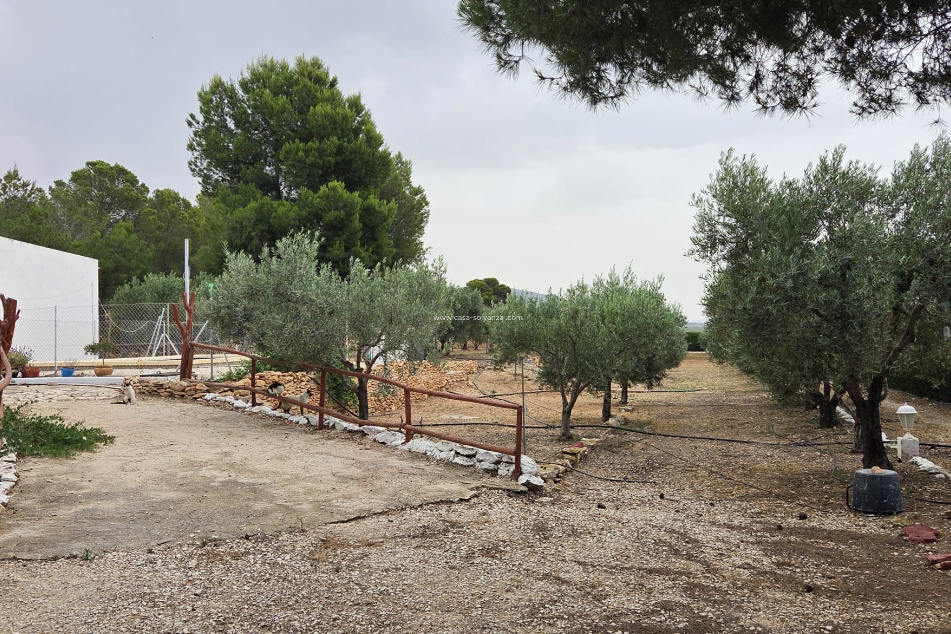 Resale - Apartment / flat - Pinoso