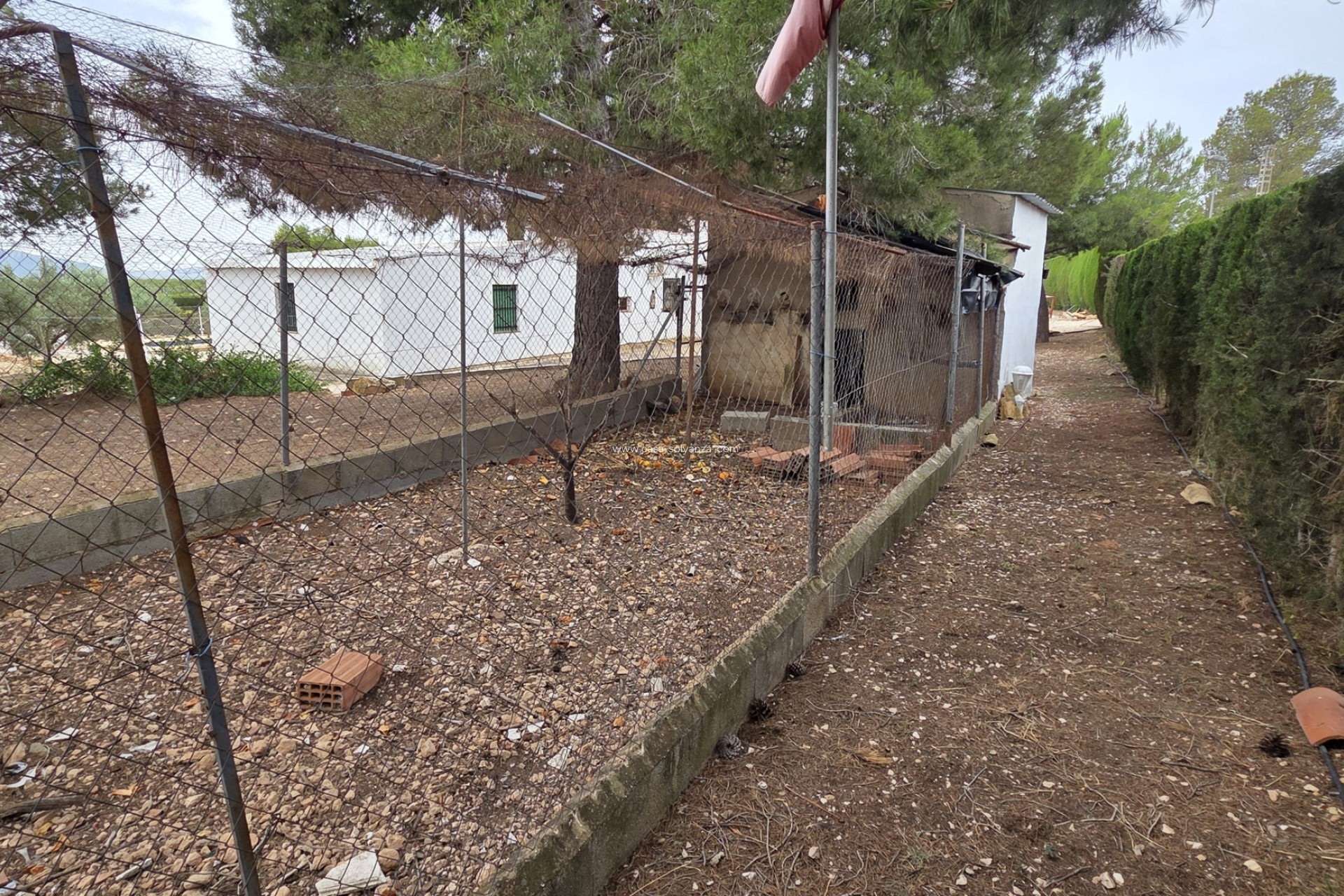 Resale - Apartment / flat - Pinoso