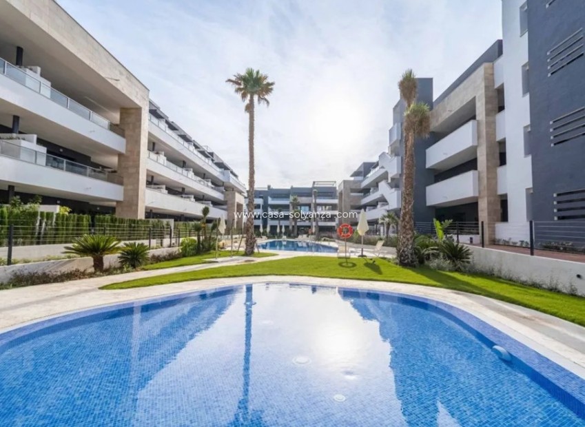 Resale - Apartment / flat - Playa Flamenca - 0