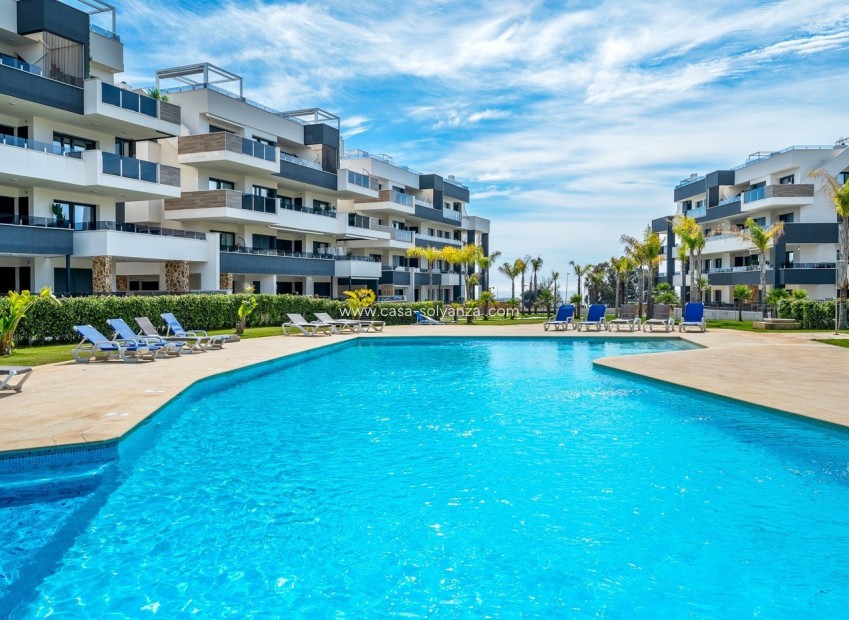Resale - Apartment / flat - Playa Flamenca - Costa Blanca
